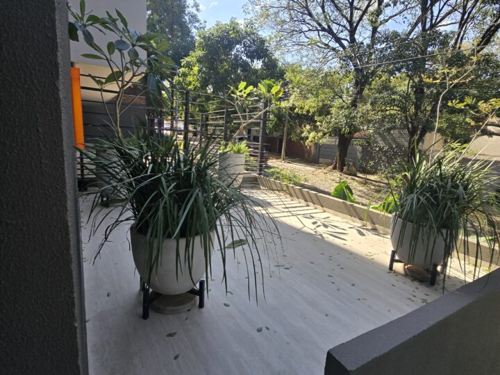 Terrace with plants